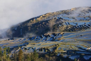 云南元阳梯田最佳旅游时间