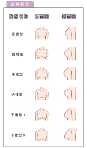 女人胸长到什么样？女人的胸部是怎样的？[图]