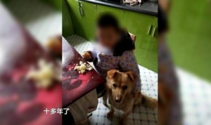 如此明目张胆？！陌生男子闯进家，当着主人的面偷走宠物狗