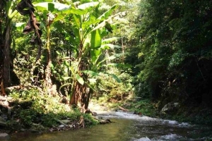 长沙附近漂流哪里水最干净美观