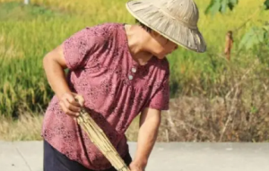 热射病治愈后还会反复发作是真的吗