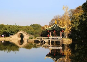 温州十大公园排行榜，江心屿公园风景如画、马鞍山公园绿化面积大