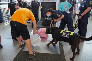 与犬为伴的警营师徒 三伏天训犬起早贪黑