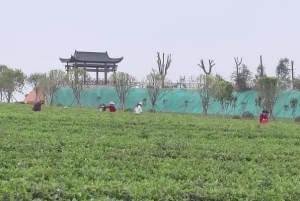 湖北天然氧吧有哪些地方 风景好的旅游胜地推荐