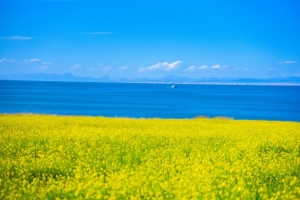 青海中秋节去哪里旅游合适？青海十大中秋节旅游景点