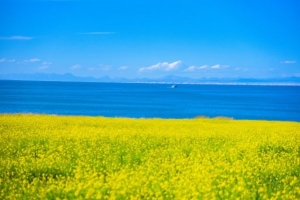 青海中秋节去哪里旅游合适？青海十大中秋节旅游景点