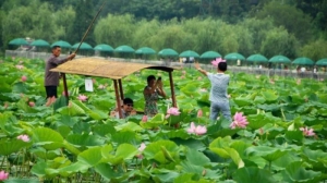 岳阳旅游必去十大景点，岳阳旅游最值得去的地方