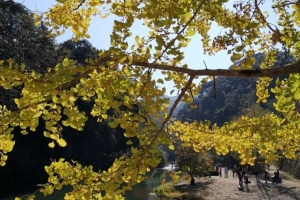 广东省内秋天适合去哪里旅游