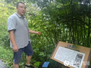 峨眉山生物资源实验站：拯救濒危植物的“植物王国”