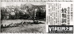 历史上是否真的有龙？揭秘1934年营口坠龙事件真相