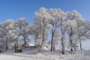 冬季旅游看雪的好地方