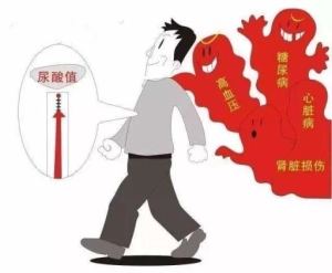 吃枸杞可以降尿酸吗？为什么？