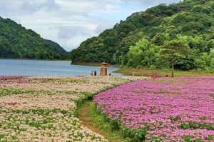 广州到广东最远距离的城市（广州到广东各市县高速公路里程及自驾时间表）(10)