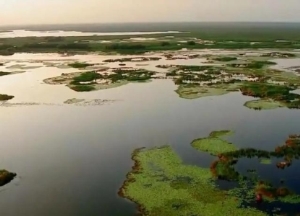 多瑙河流经的国家(多瑙河流经的国家多还是湄公河流经的国家多)