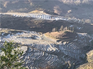 元阳梯田景区观光车有限乘次数吗（旅游专线车票未与门票捆绑）