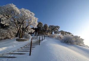 冬天去哪里旅游比较好