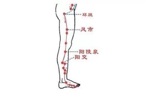 敲打胆经多久能瘦腿呢 水肿型腿能敲打胆经瘦腿是真的吗