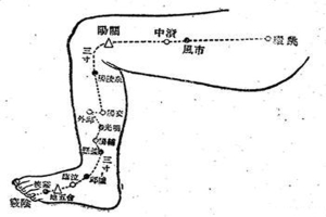 敲打胆经多久能瘦腿呢 水肿型腿能敲打胆经瘦腿吗