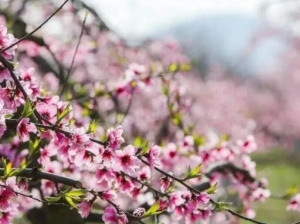 江南旅居小镇：荣炳古镇