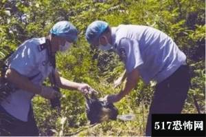 嘉兴健身教练杀人抛尸案侦破纪实：为盗取钱财杀人/曾杀死自己奶奶焚尸