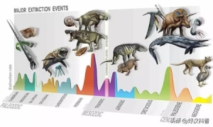 运动：地球上五次生物大灭绝事件是怎么回事？