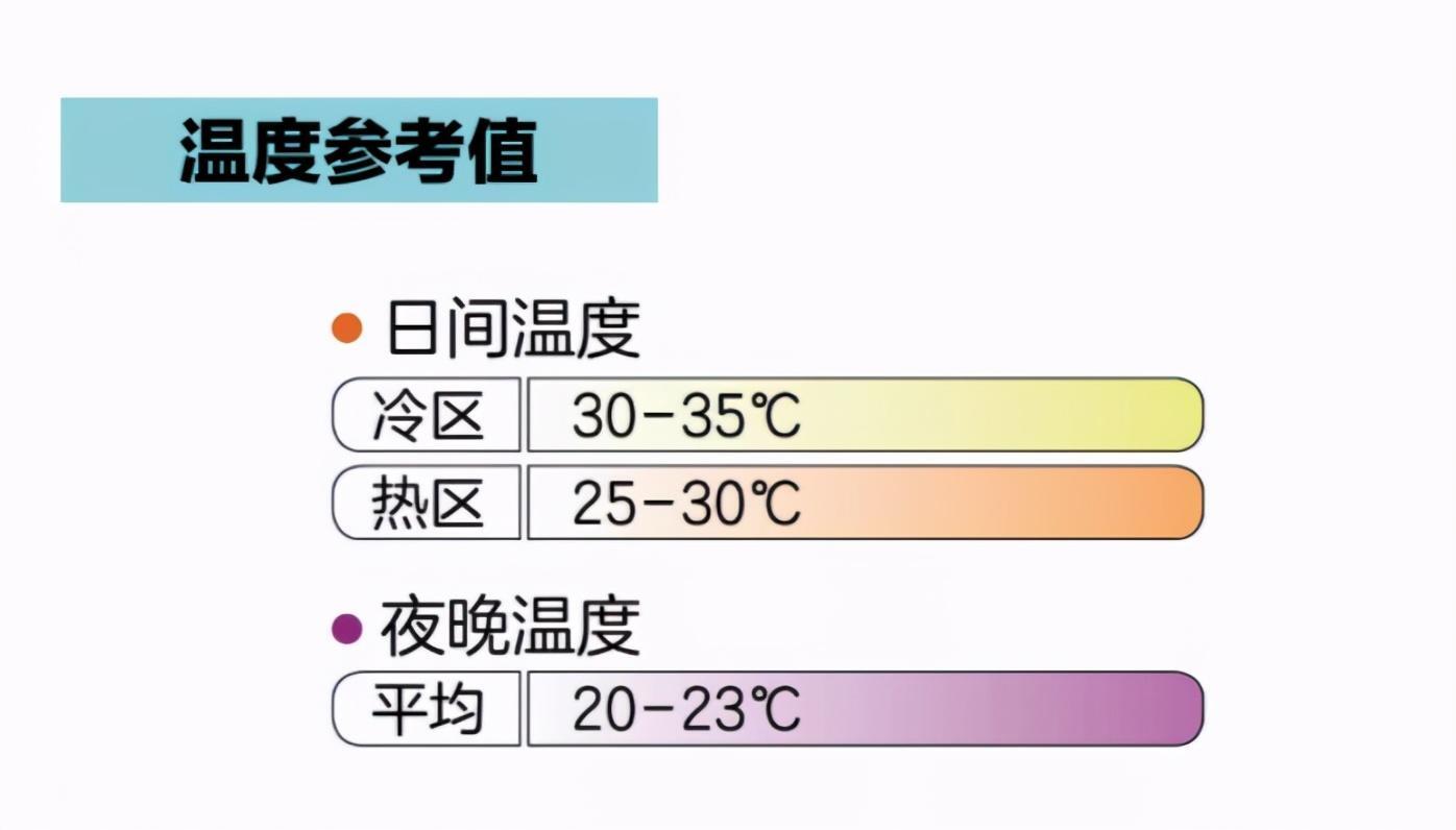 物种介绍：变色树蜥的奥秘