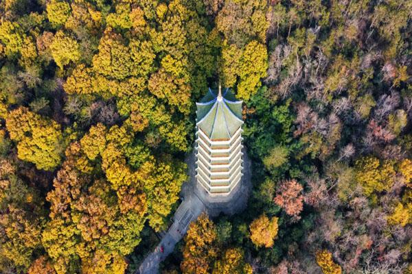 南京灵谷景区游玩攻略-门票价格-景点信息