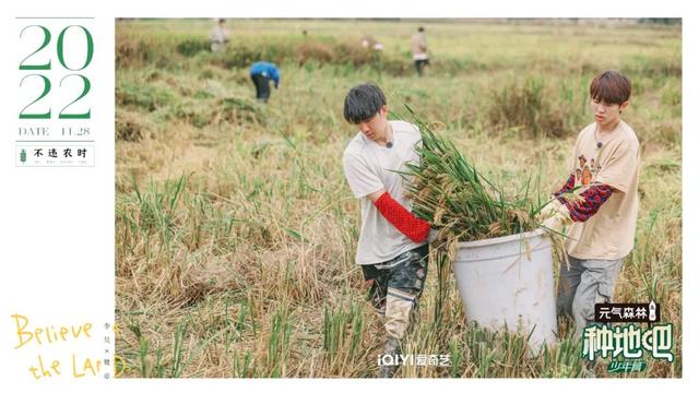 从《种地吧》“塌房”风波说起：综艺观众是怎么变成明星粉丝的？