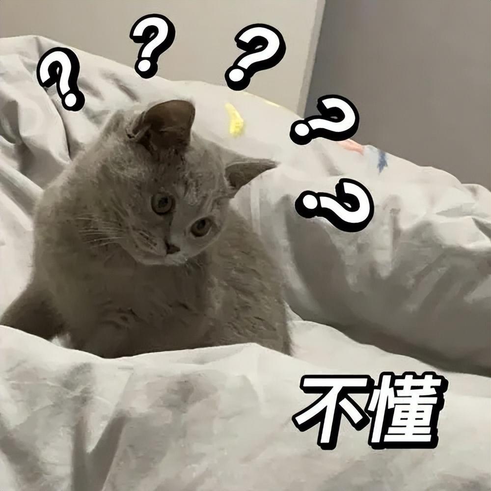 猫咪出现的这个症状，一般会有这些原因