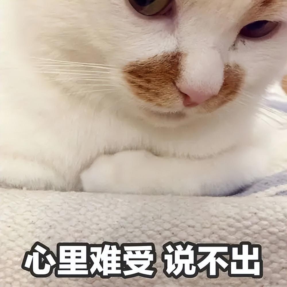 猫咪出现的这个症状，一般会有这些原因