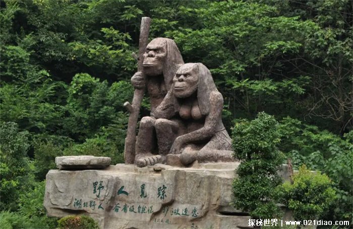 世界上十大神秘动物泽西恶魔传说的飞行生物(比较残忍)