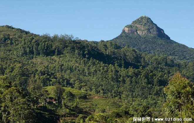 世界上十大净化心灵的旅游地 印度大金庙(具有宗教感)