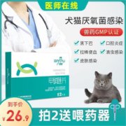 猫狗可以和平共处吗？以下十种狗，可能会成为猫猫的好朋友 猫和狗能和平相处家里风水