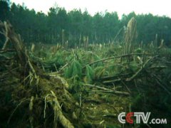 土-探解贵阳空中怪车事件之谜