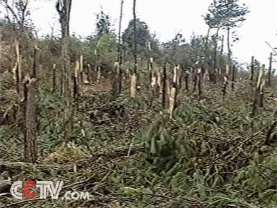 土-探解贵阳空中怪车事件之谜