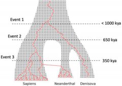 现代和古代人类的基因组之旅可能比我们想象的要古老